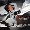 Polaroid Picture - Single album lyrics, reviews, download