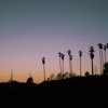 Wataboi - Cali