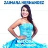 Nostalgia de Don Simon - Single