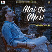 Aabhimanyu Kak - Hai Tu Meri - Single artwork