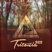 Tritonia 322 artwork