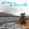 Llorando a Tomasito - Single