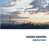 Bernard Kogovsek - Birds Migrating