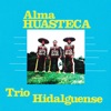 Alma Huasteca