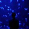 Drifter - Single