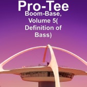 Pro-Tee- One for Sdunkero artwork