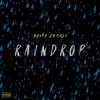 Raindrop - Single album lyrics, reviews, download