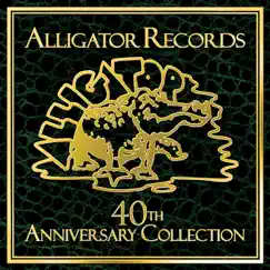 Alligator Records 40th Anniversary Collection by Various Artists album reviews, ratings, credits