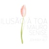 Mauro Senise & Romero Lubambo - Ilusão à Toa