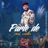 Parte de Mi Vida (En Vivo) artwork