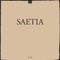 The Poet You Never Were - Saetia lyrics