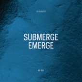 Submerge-Emerge artwork