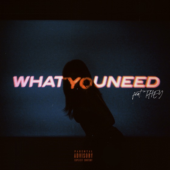 Cover artwork for What You Need (feat. THEY.)