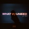 Jae Stephens Ft. THEY. - What You Need