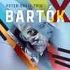 X Bartók, 2018