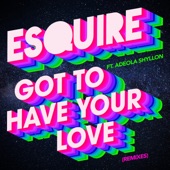 Got to Have Your Love (feat. Adeola Shyllon) [sAVII Remix] artwork