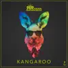 Stream & download Kangaroo - Single