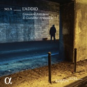 Haydn 2032, Vol. 9: L'Addio artwork