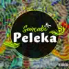 Peleka - Single album lyrics, reviews, download