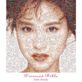 Diamond Bible artwork
