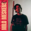 Milo Meskens - Fool
