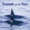 Sounds of the Sea album lyrics, reviews, download