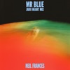 Mr Blue (Jadu Heart Mix) - Single
