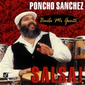 Baila Mi Gente: Salsa! artwork