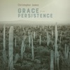Grace from Persistence