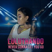 Never Gonna Let You Go artwork