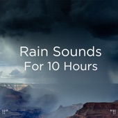 !!"Rain Sounds for 10 Hours "!! artwork