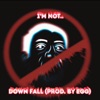 Down Fall - Single