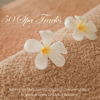50 Spa Tracks: Relaxing Spa Meditation Music and Asian Instrumental Music for Massage, Beauty Care & Total Relaxation - Various Artists