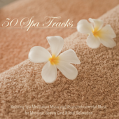 50 Spa Tracks: Relaxing Spa Meditation Music and Asian Instrumental Music for Massage, Beauty Care & Total Relaxation - Verschillende artiesten