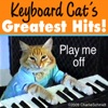 Cat - Keyboard Cat
