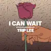 I Can Wait - Single album lyrics, reviews, download