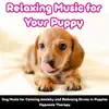 Relaxing Music for Your Puppy: Dog Music for Calming Anxiety and Reducing Stress in Puppies (Hypnosis Therapy) album lyrics, reviews, download