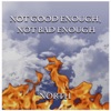 Not Good Enough, Not Bad Enough - Single