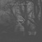 Surf Curse - Rombo lyrics