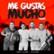 Me Gustas Mucho (feat. Alkilados) - Jorge Celedon & Alkilados lyrics