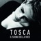Cicale e chimere (feat. Joe Barbieri) - Tosca lyrics