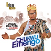 Chukwu Emerigo artwork