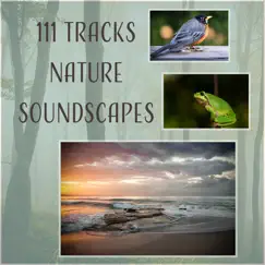 111 Tracks Nature Soundscapes: Healing Therapy Music - Relaxing Rain, Sounds of Birds, Ocean Waves, Calm Sea and Waterfall, Zen Music, Animals Sounds (Forest, Frogs, Cricket) by Various Artists album reviews, ratings, credits