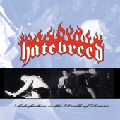 Puritan by Hatebreed