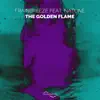 The Golden Flame (feat. Natune) - Single album lyrics, reviews, download