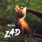 ZAD - Single