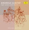 String Quartet No. 13 in A Minor, D. 804 - "Rosamunde": I. Allegro Ma Non Troppo artwork