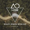 What's Wrong with You (acoustic) - Single