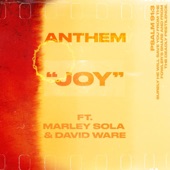 JOY (feat. Marley Sola & David Ware) artwork