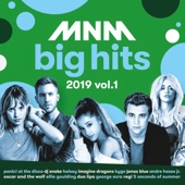 MNM Big Hits 2019, Vol. 1 artwork
